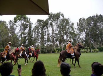 Interprétation consécutive pendant un spectacle équestre de chevaux péruviens, Mamacona