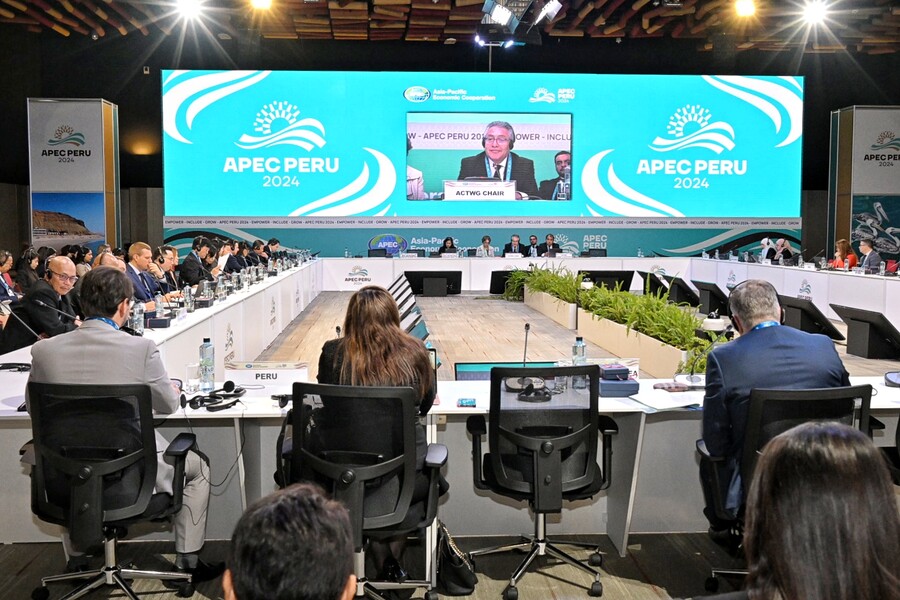 Acompa�amiento durante plenaria APEC: interpretaci�n consecutiva (2024)